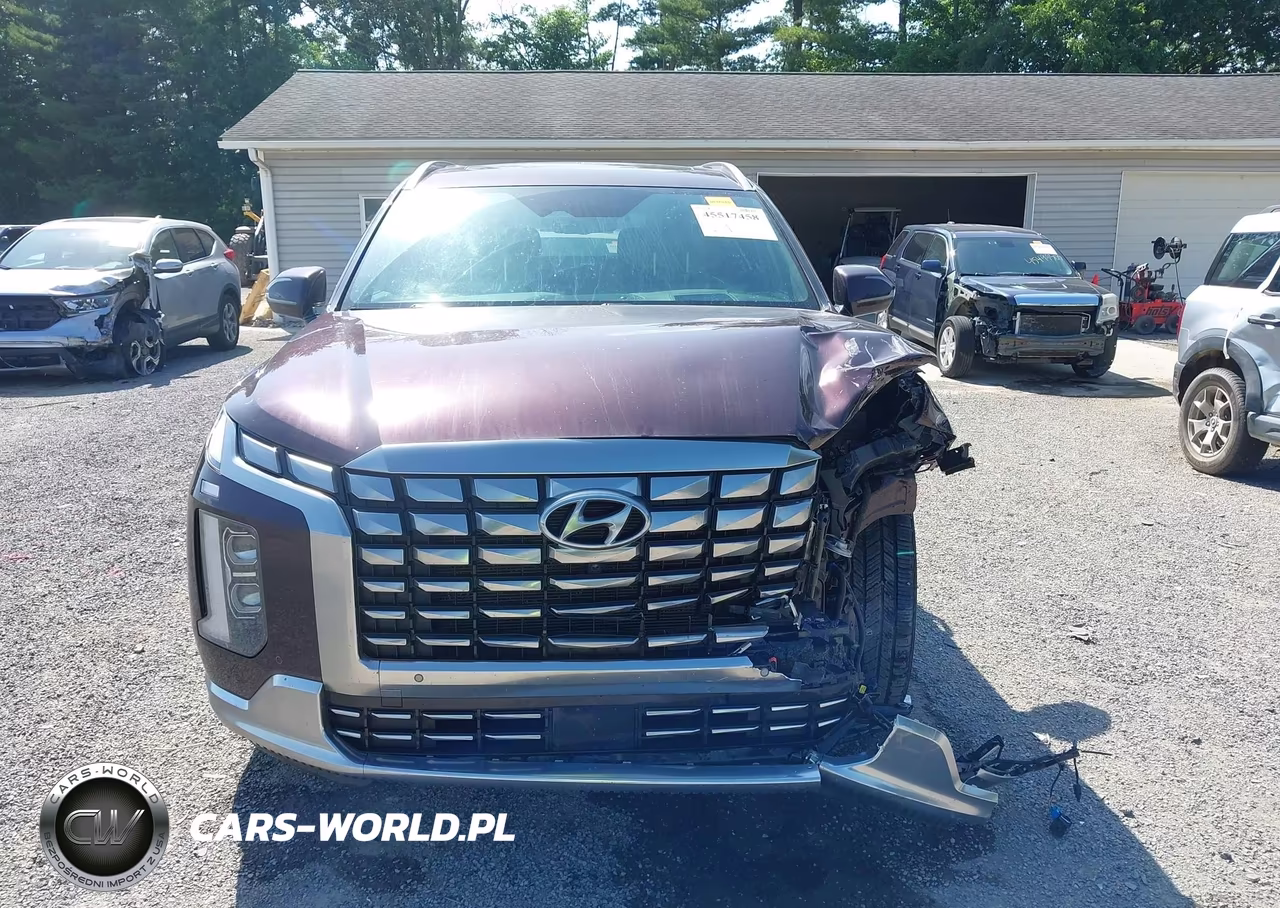 2023 Hyundai Palisade Calligraphy VIN:KM8R7DGE5PU567623 - 13