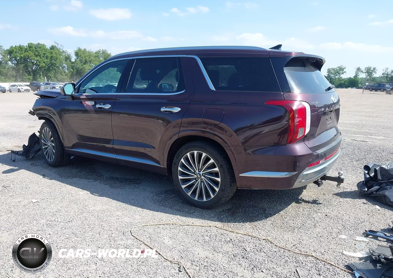 2023 Hyundai Palisade Calligraphy VIN:KM8R7DGE5PU567623 - 3