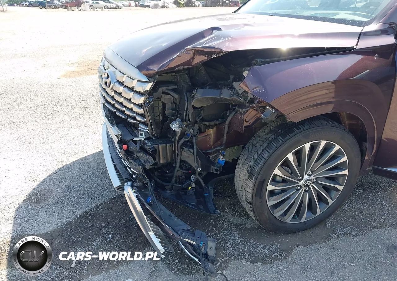 2023 Hyundai Palisade Calligraphy VIN:KM8R7DGE5PU567623 - 6