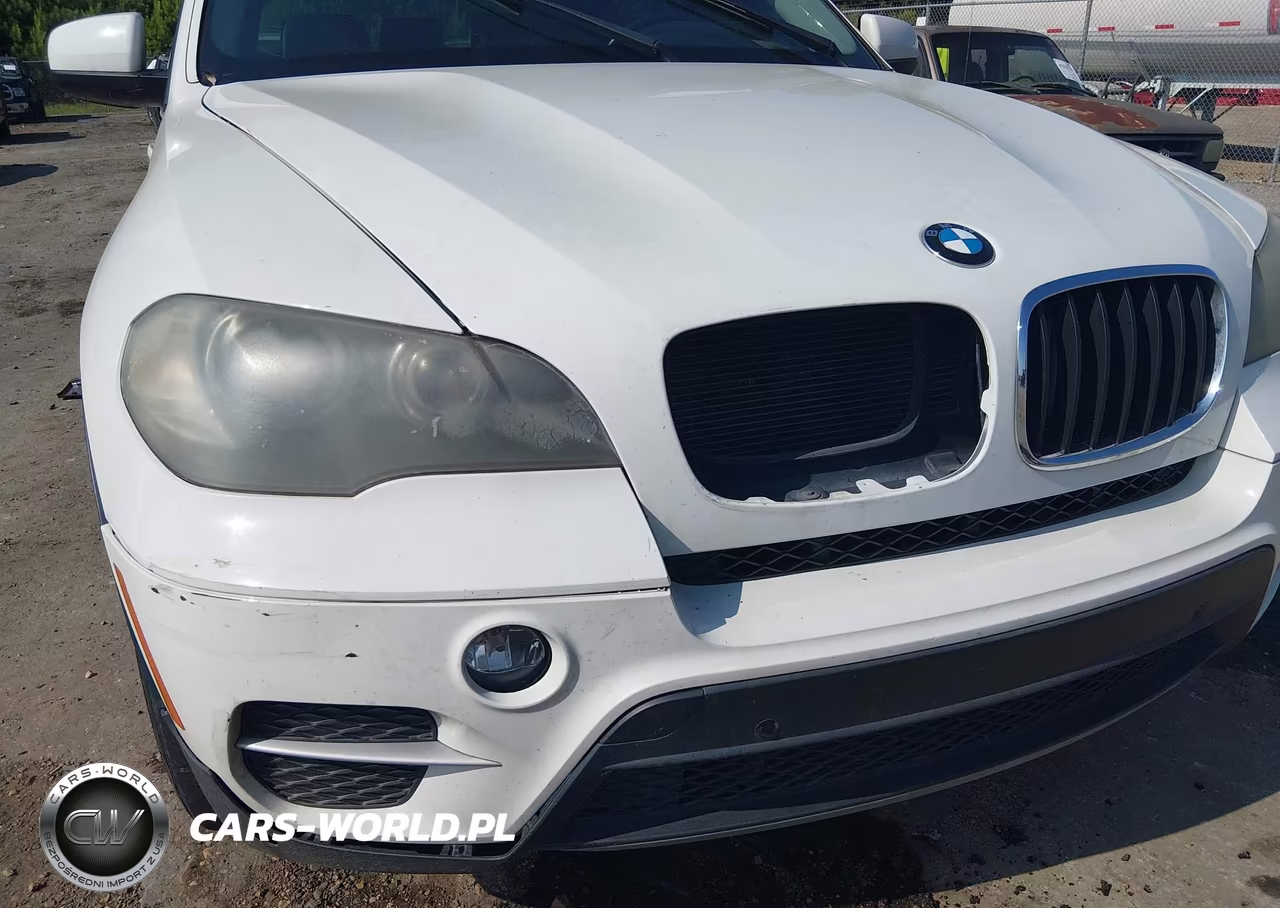 2011 BMW X5 xDrive35I-xDrive35I Premium-xDrive35I Sport Activity VIN:5UXZV4C53BL402442 - 6