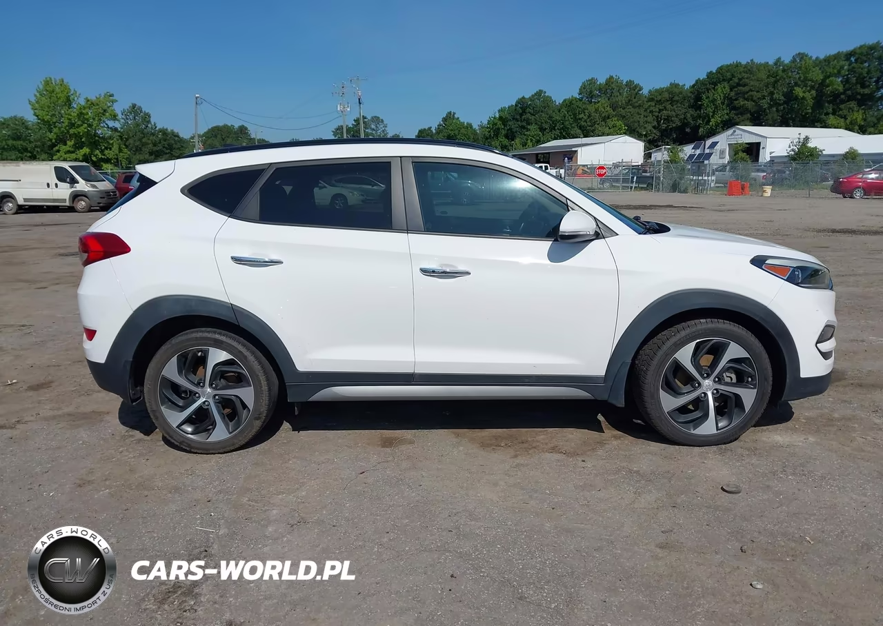 2017 Hyundai Tucson Limited VIN:KM8J33A28HU303377 - 13