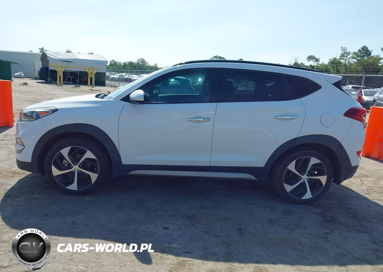 2017 Hyundai Tucson Limited VIN:KM8J33A28HU303377 - 14