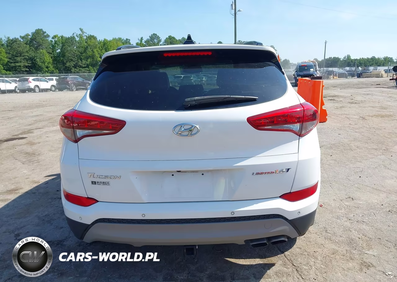 2017 Hyundai Tucson Limited VIN:KM8J33A28HU303377 - 16