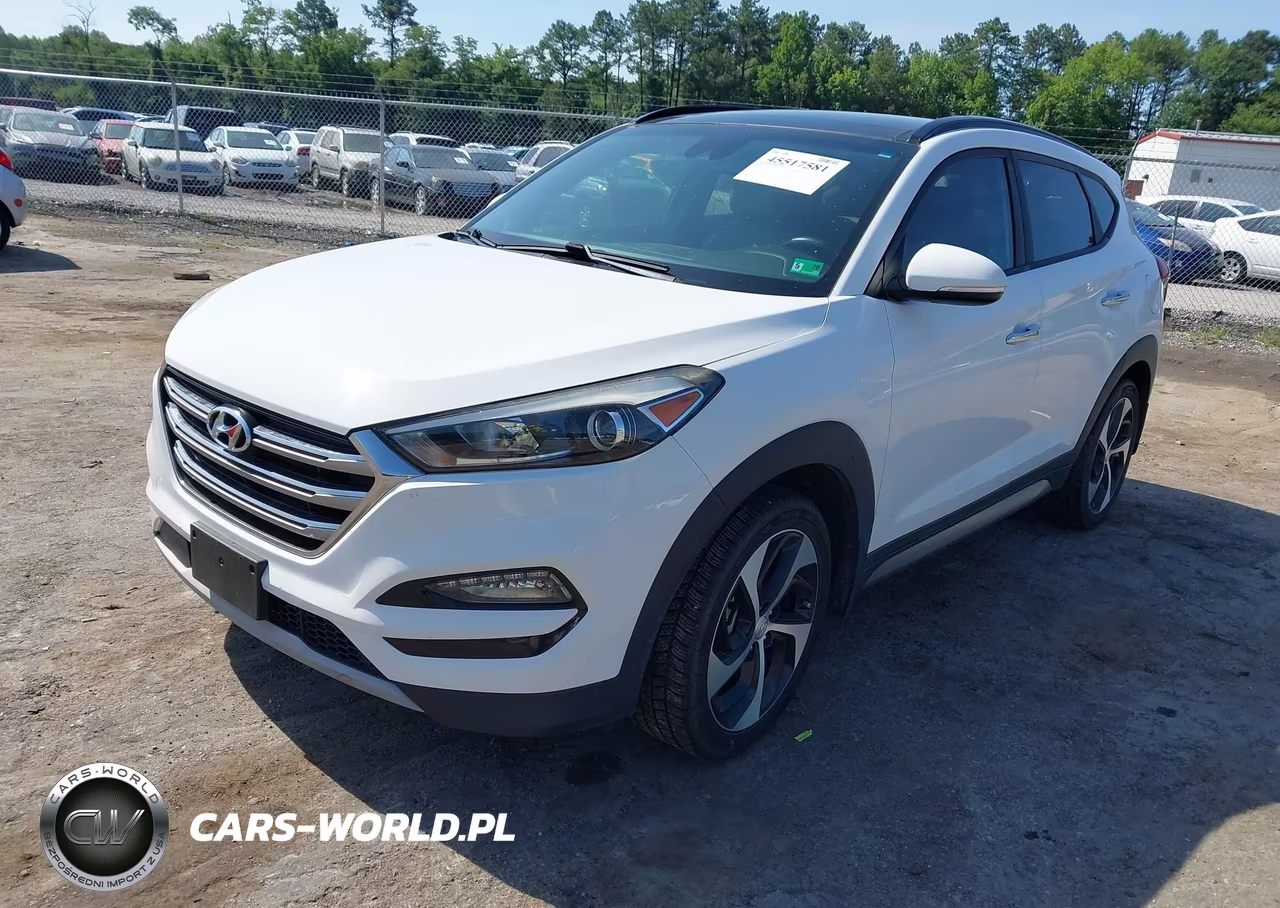2017 Hyundai Tucson Limited VIN:KM8J33A28HU303377 - 2