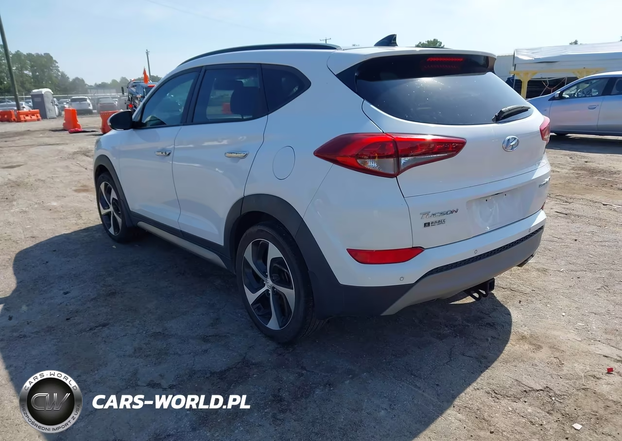 2017 Hyundai Tucson Limited VIN:KM8J33A28HU303377 - 3