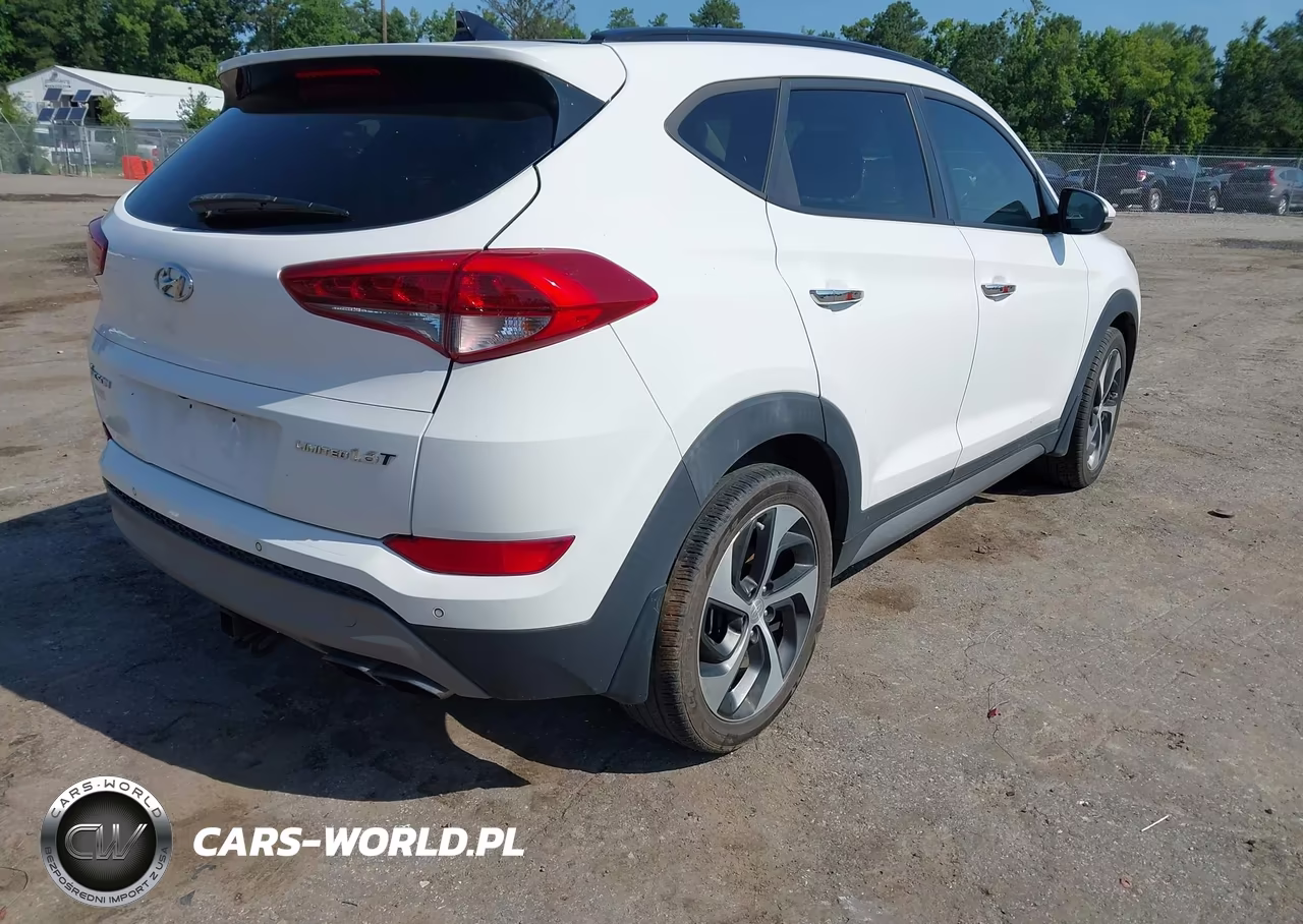 2017 Hyundai Tucson Limited VIN:KM8J33A28HU303377 - 4