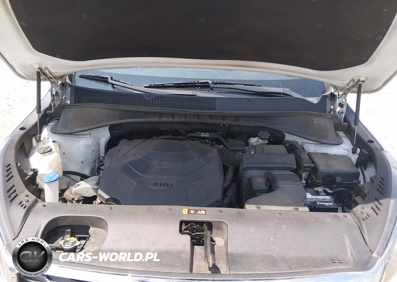 2019 Kia Sorento 3.3L Ex VIN:5XYPH4A54KG439174 - 10