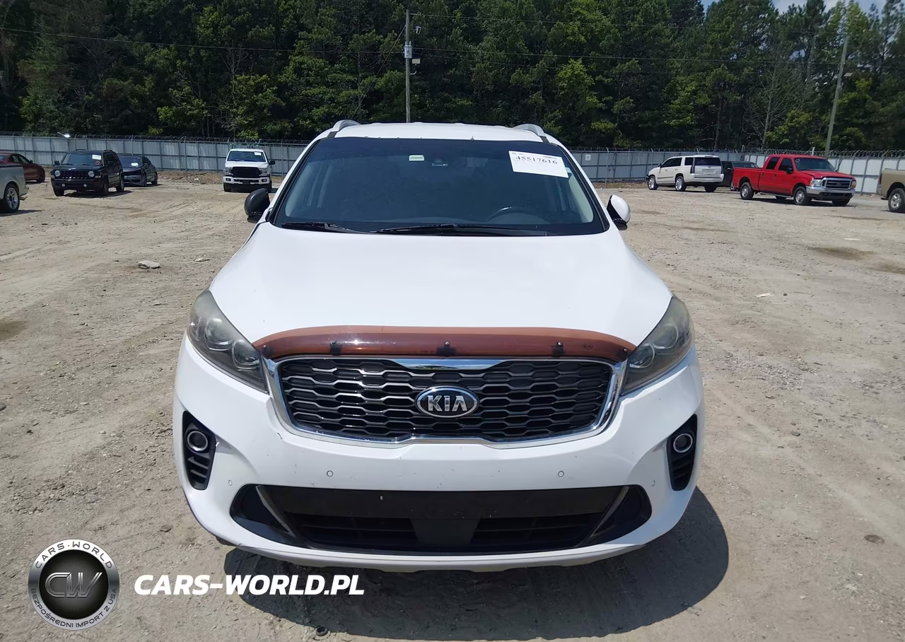 2019 Kia Sorento 3.3L Ex VIN:5XYPH4A54KG439174 - 12
