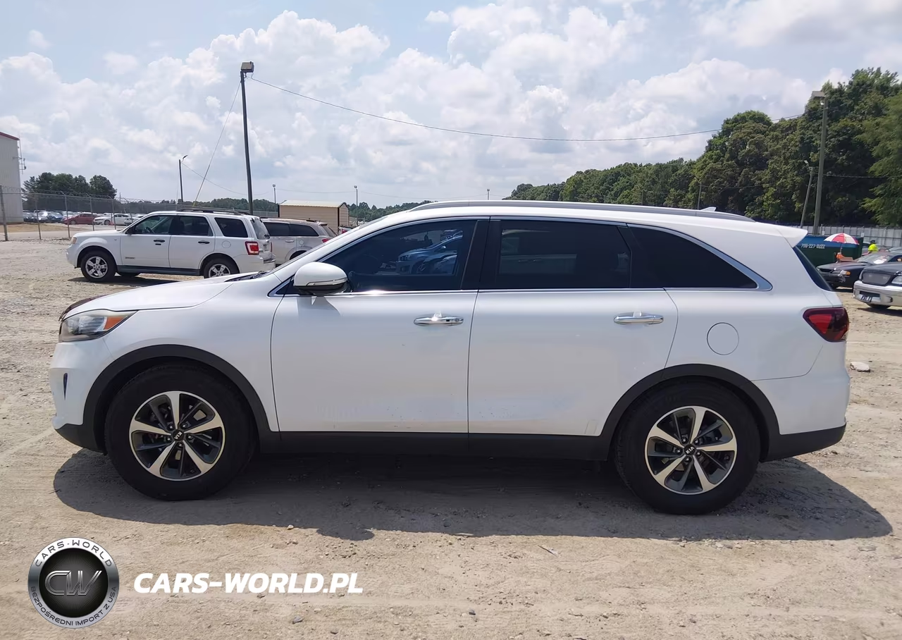 2019 Kia Sorento 3.3L Ex VIN:5XYPH4A54KG439174 - 14