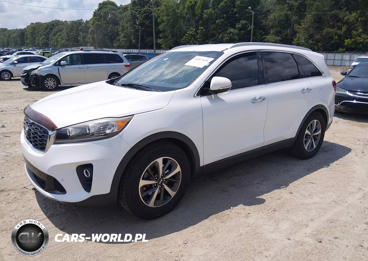 2019 Kia Sorento 3.3L Ex VIN:5XYPH4A54KG439174 - 2