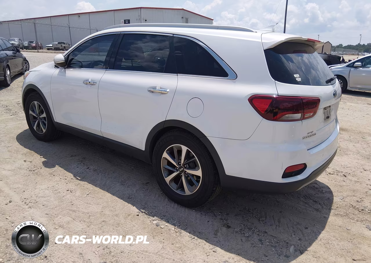 2019 Kia Sorento 3.3L Ex VIN:5XYPH4A54KG439174 - 3