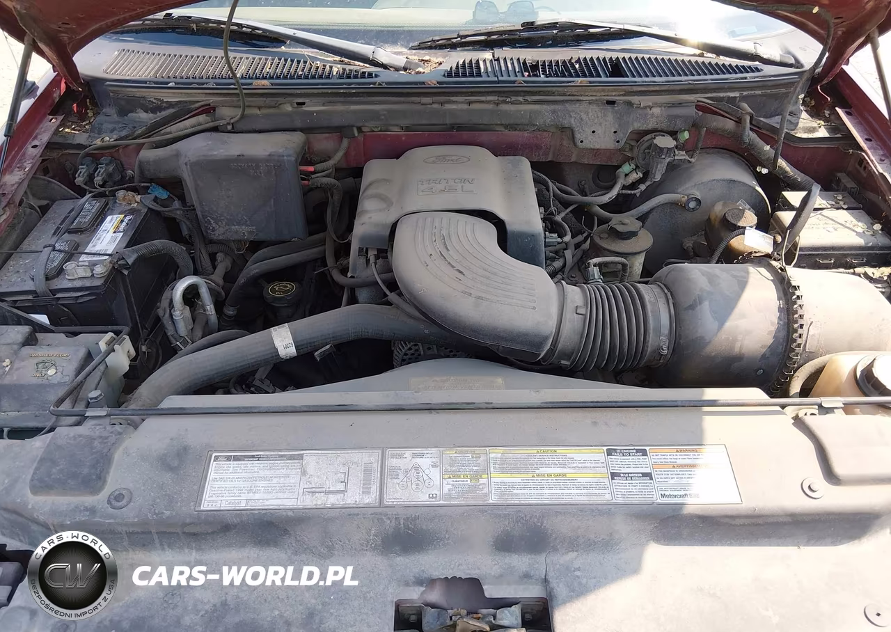 1998 Ford Expedition Eddie Bauer-Xlt VIN:1FMRU18W4WLC04314 - 10