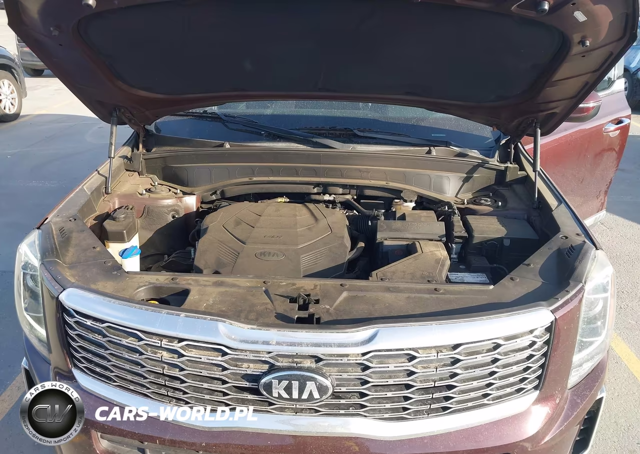 2020 Kia Telluride S VIN:5XYP64HC2LG095324 - 10