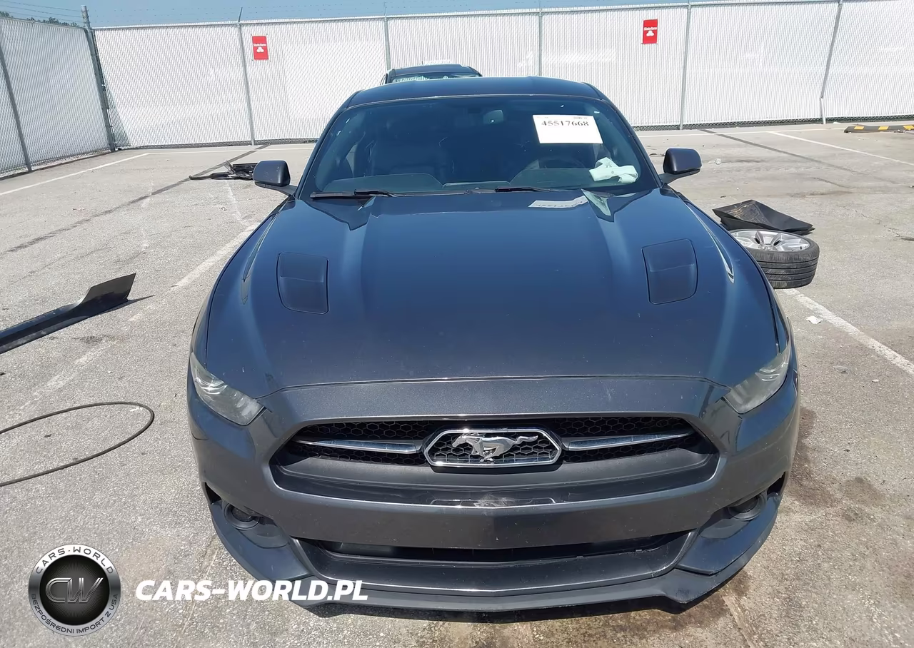 2015 Ford Mustang Gt Premium VIN:1FA6P8CF1F5313113 - 13