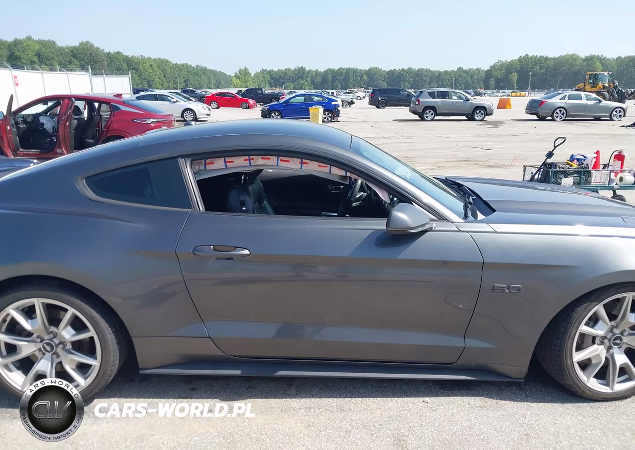 2015 Ford Mustang Gt Premium VIN:1FA6P8CF1F5313113 - 14