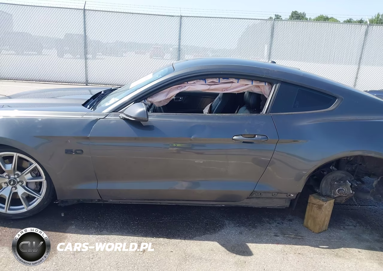 2015 Ford Mustang Gt Premium VIN:1FA6P8CF1F5313113 - 15