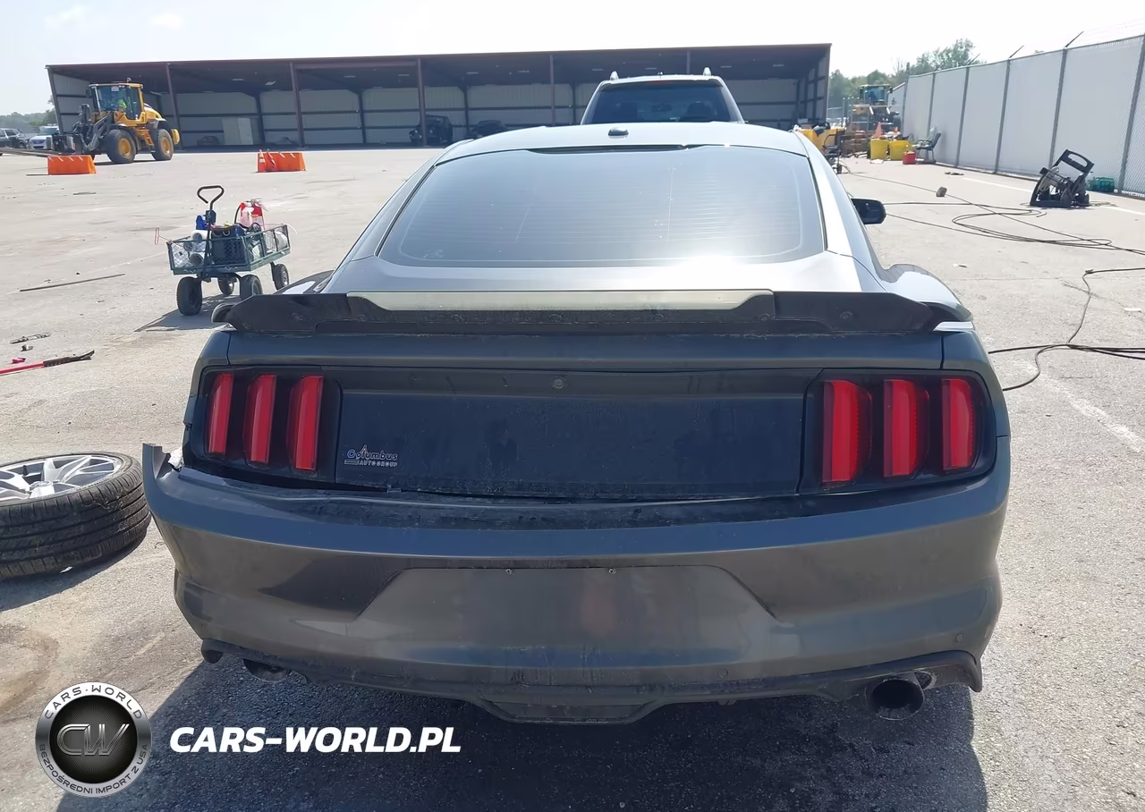 2015 Ford Mustang Gt Premium VIN:1FA6P8CF1F5313113 - 17