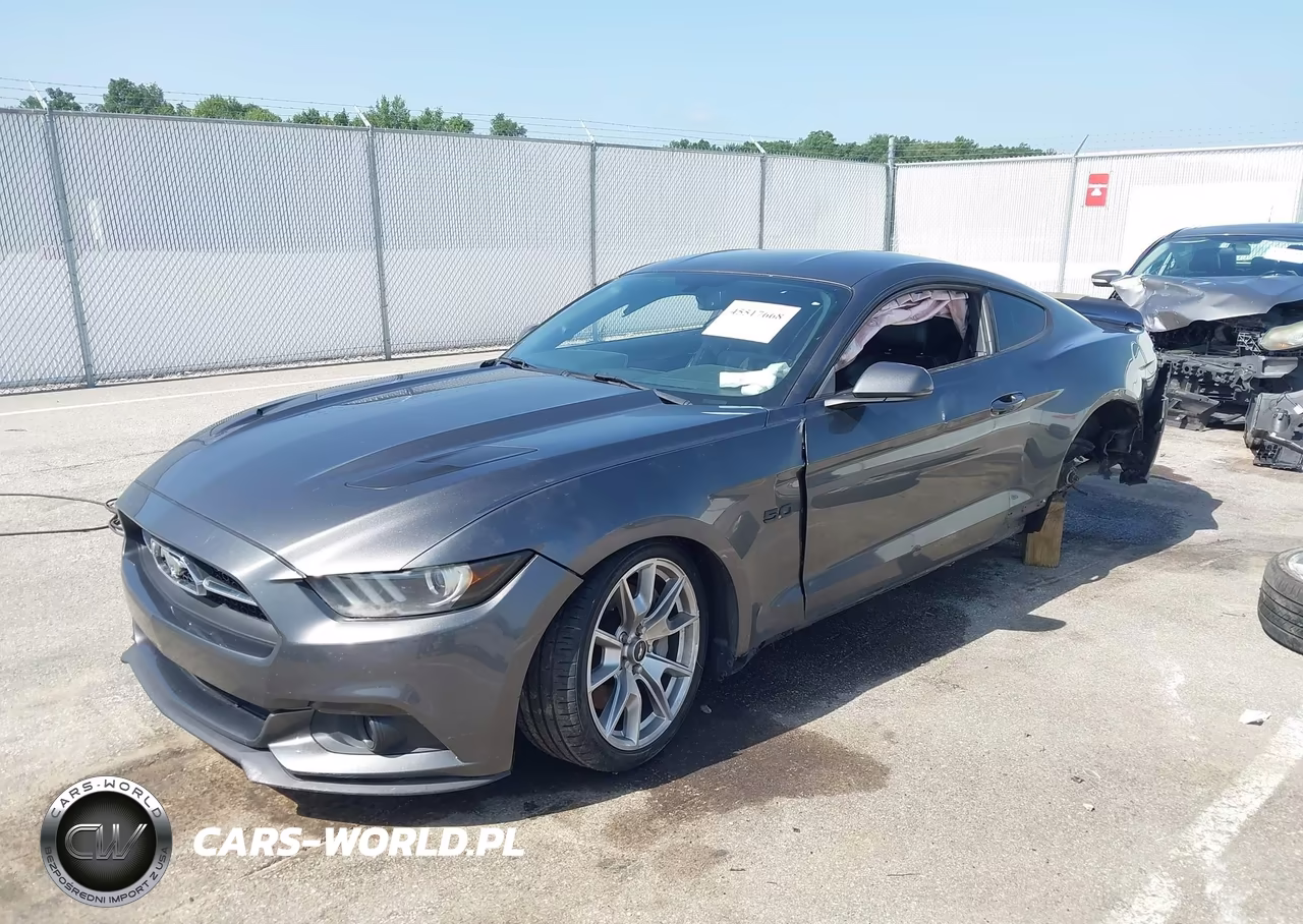 2015 Ford Mustang Gt Premium VIN:1FA6P8CF1F5313113 - 2
