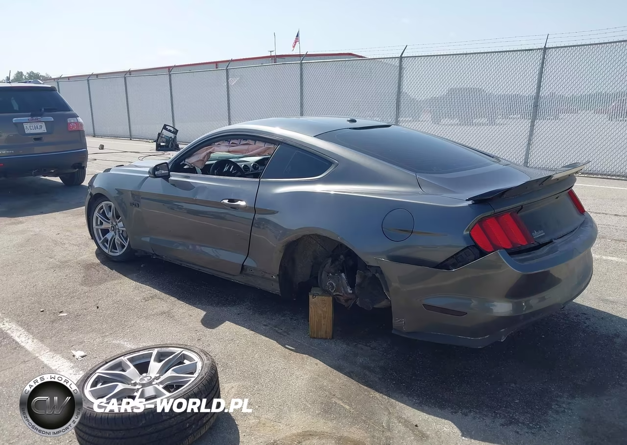 2015 Ford Mustang Gt Premium VIN:1FA6P8CF1F5313113 - 3