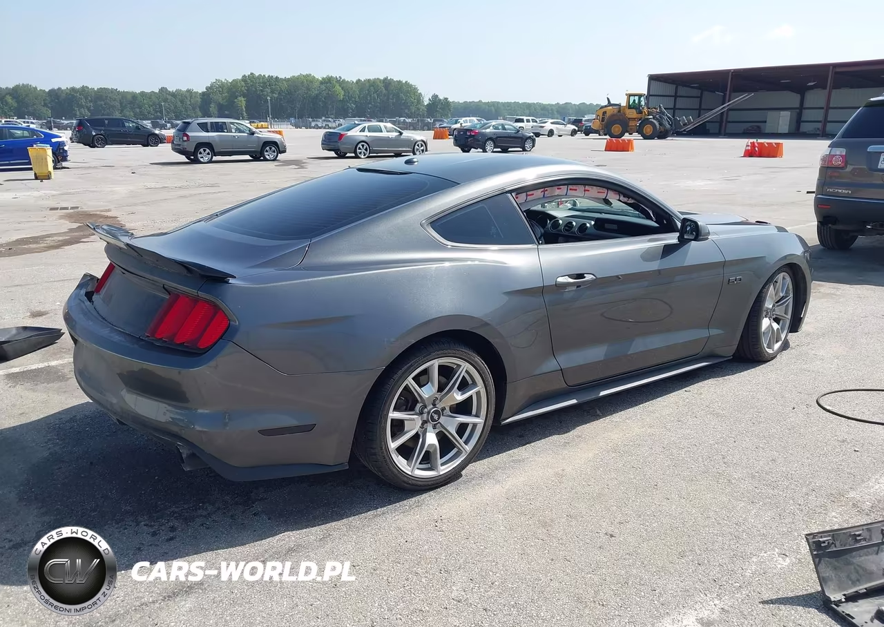 2015 Ford Mustang Gt Premium VIN:1FA6P8CF1F5313113 - 4