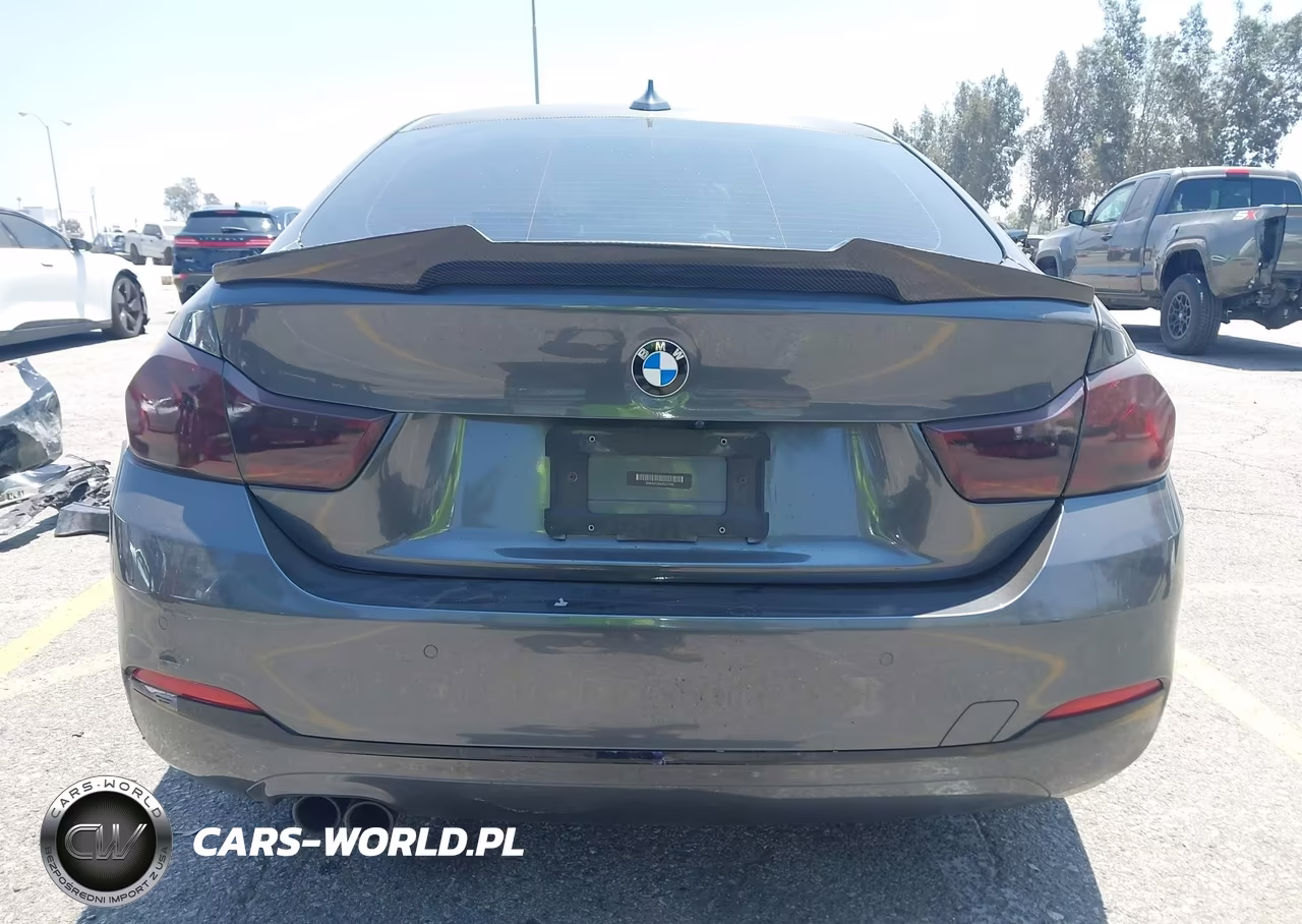 2018 BMW 430I Gran Coupe VIN:WBA4J1C53JBG77349 - 19