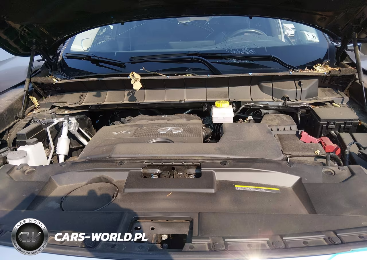 2024 Infiniti Qx60 Luxe Awd VIN:5N1DL1FS0RC344569 - 10