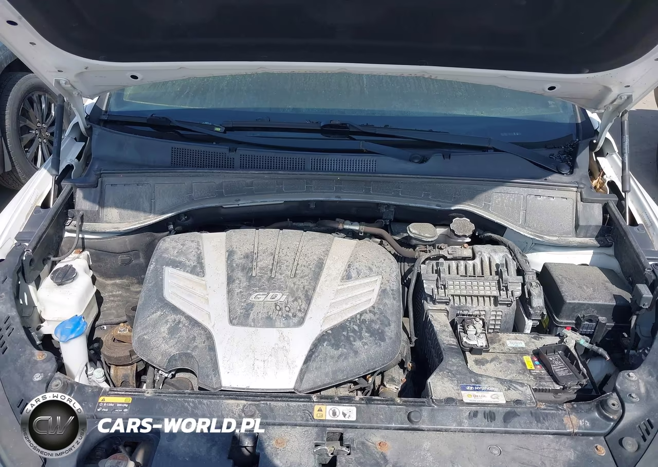2018 Hyundai Santa Fe Limited Ultimate VIN:KM8SRDHF4JU260034 - 10