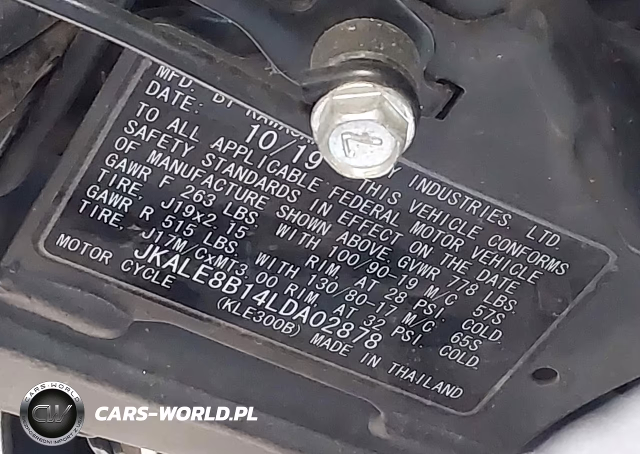 2020 Kawasaki Kle300 B VIN:JKALE8B14LDA02878 - 10