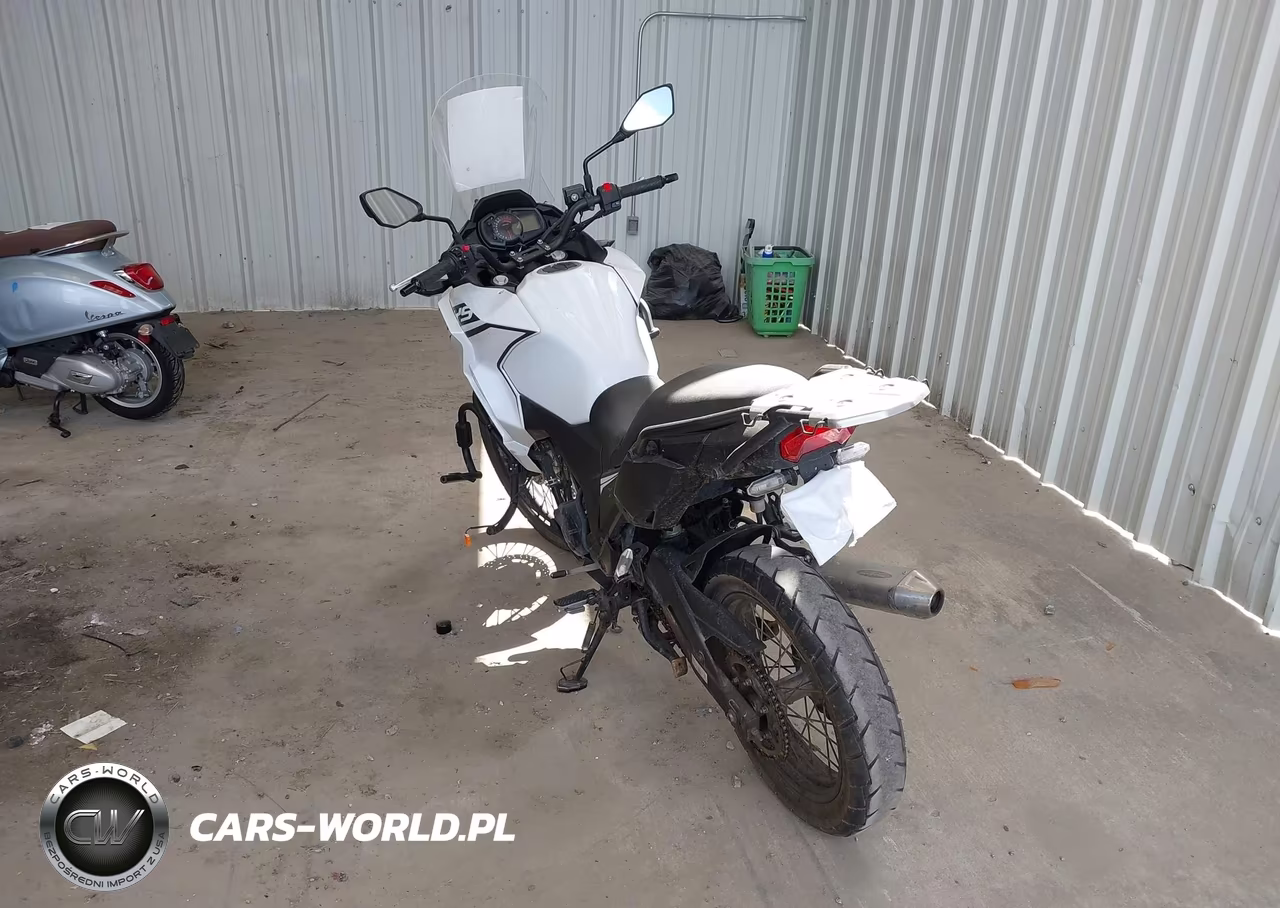 2020 Kawasaki Kle300 B VIN:JKALE8B14LDA02878 - 3