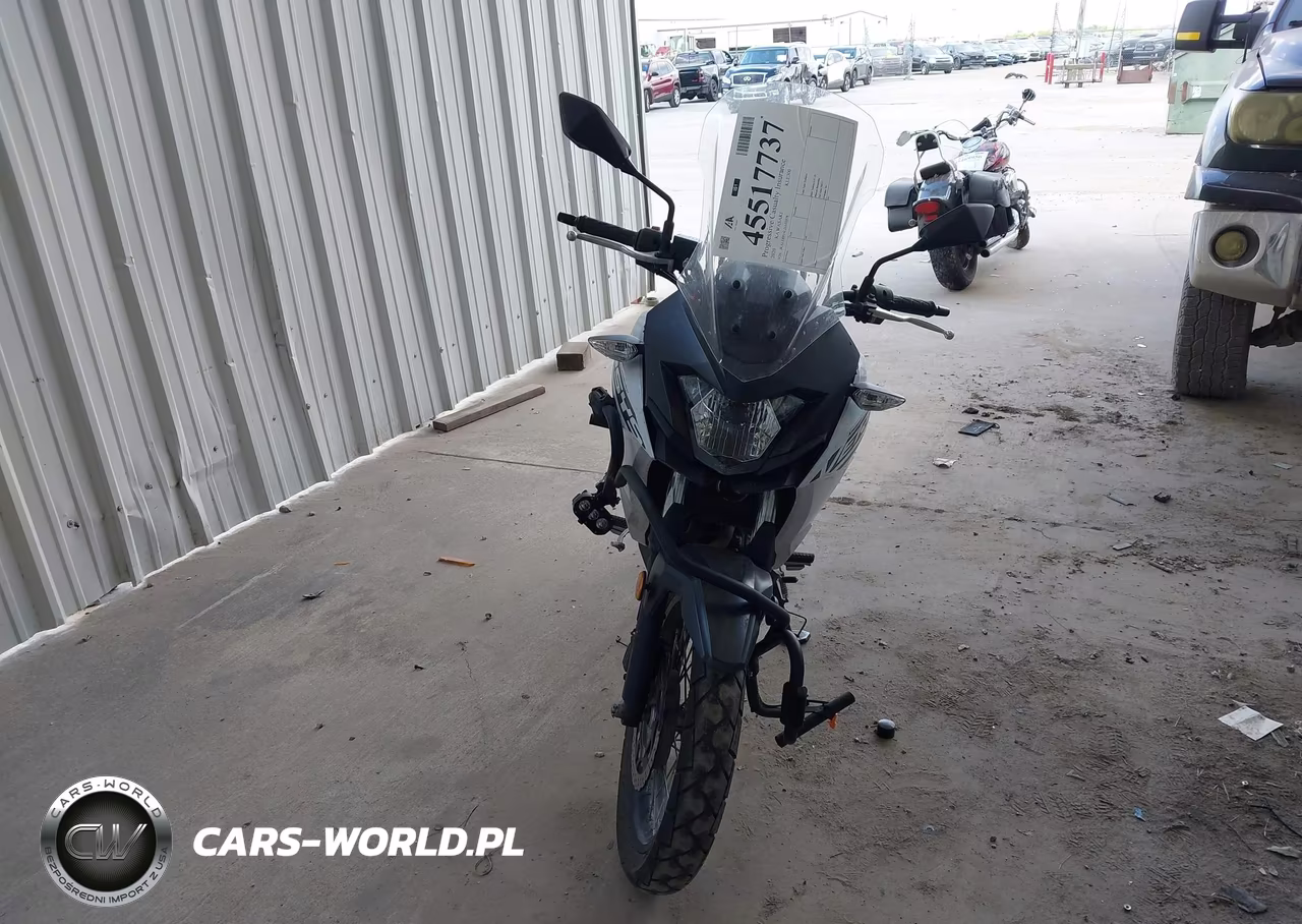 2020 Kawasaki Kle300 B VIN:JKALE8B14LDA02878 - 5
