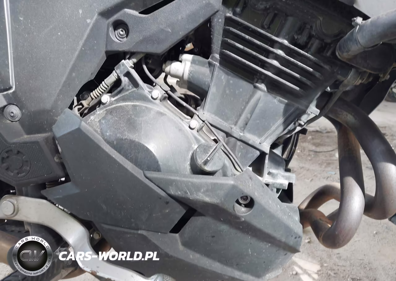 2020 Kawasaki Kle300 B VIN:JKALE8B14LDA02878 - 8