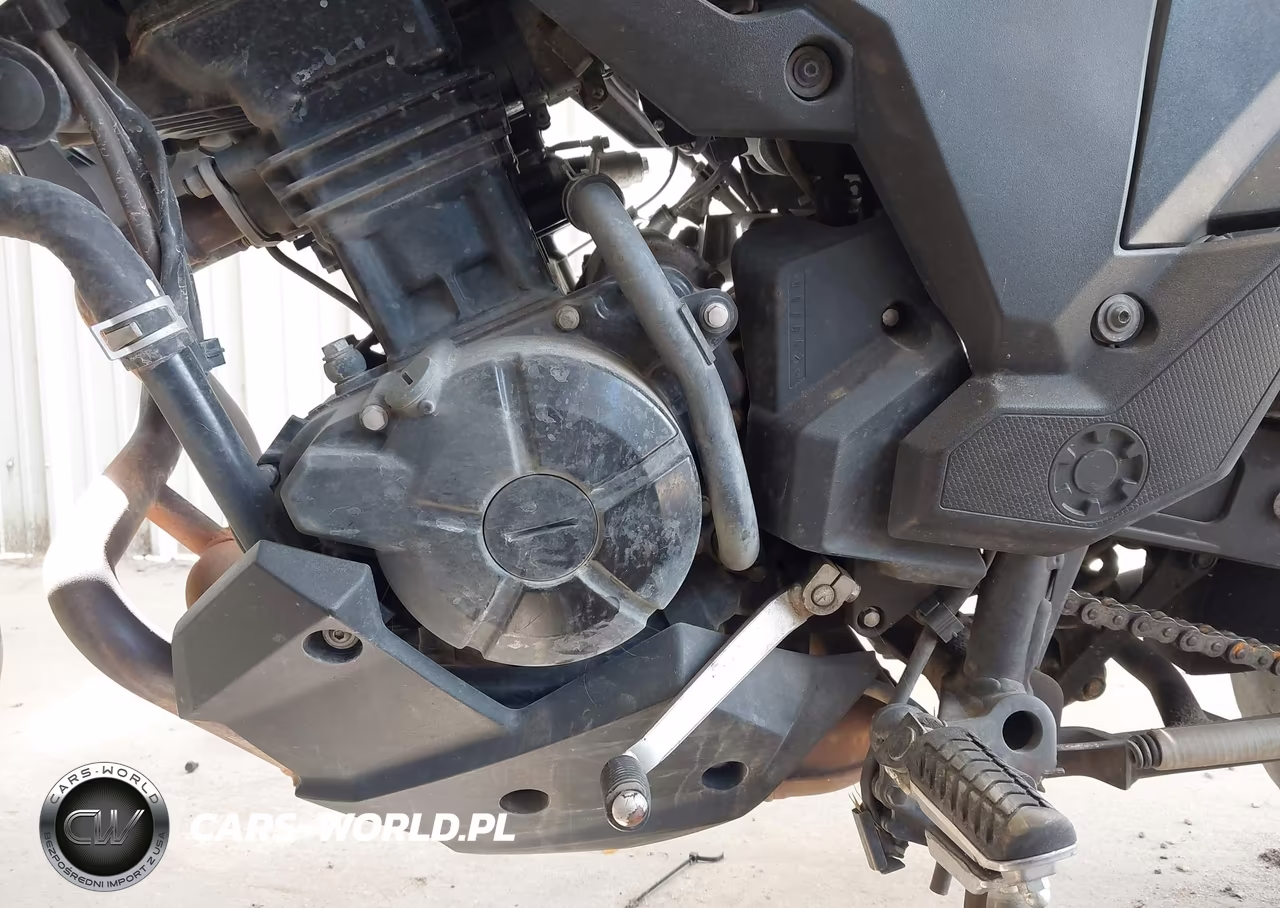 2020 Kawasaki Kle300 B VIN:JKALE8B14LDA02878 - 9