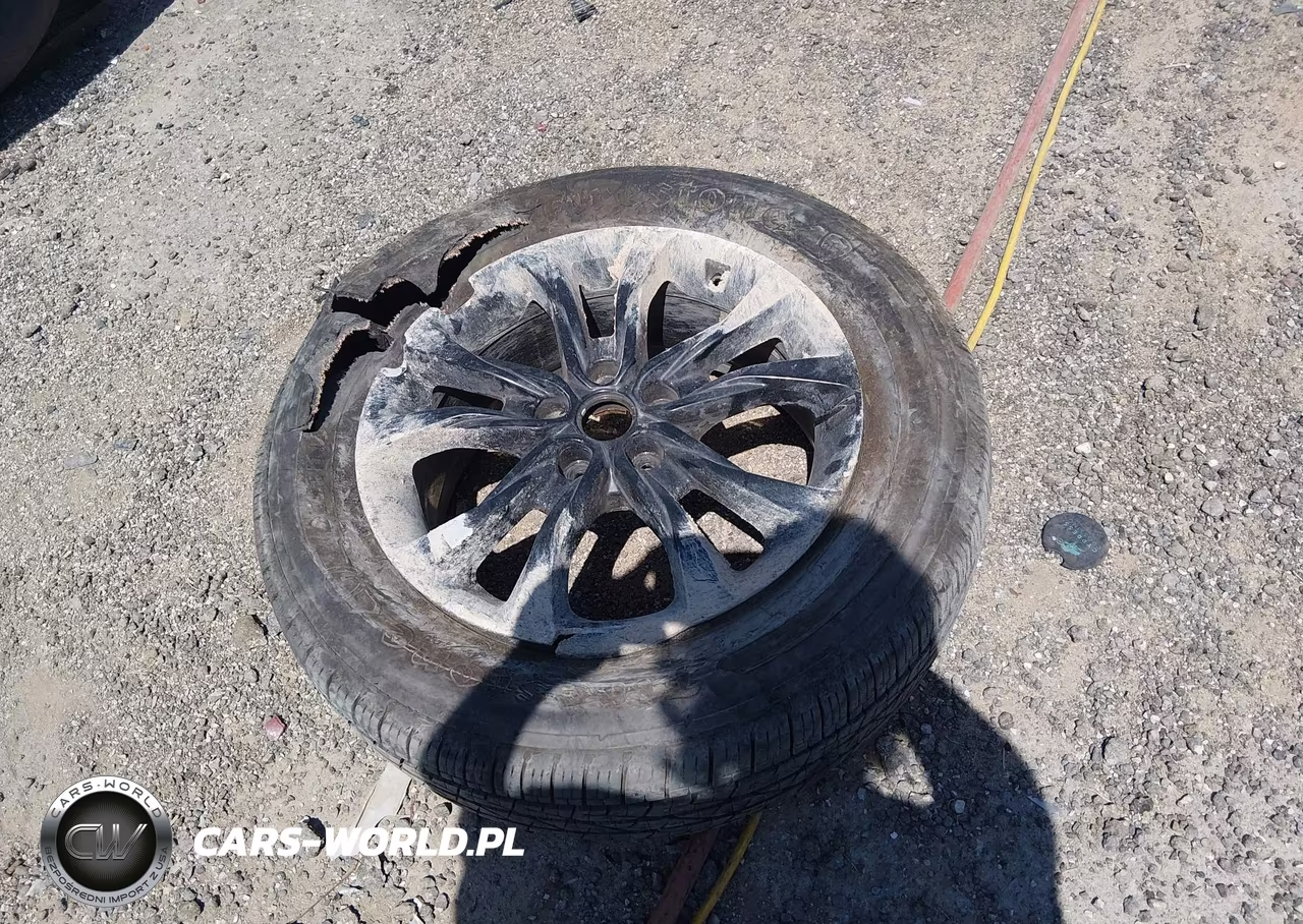 2022 Kia Telluride Lx VIN:5XYP2DHC3NG203805 - 17
