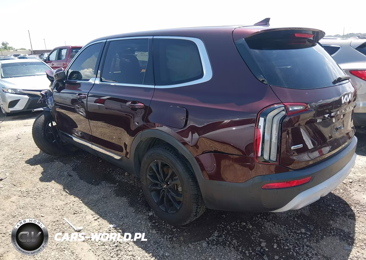 2022 Kia Telluride Lx VIN:5XYP2DHC3NG203805 - 3