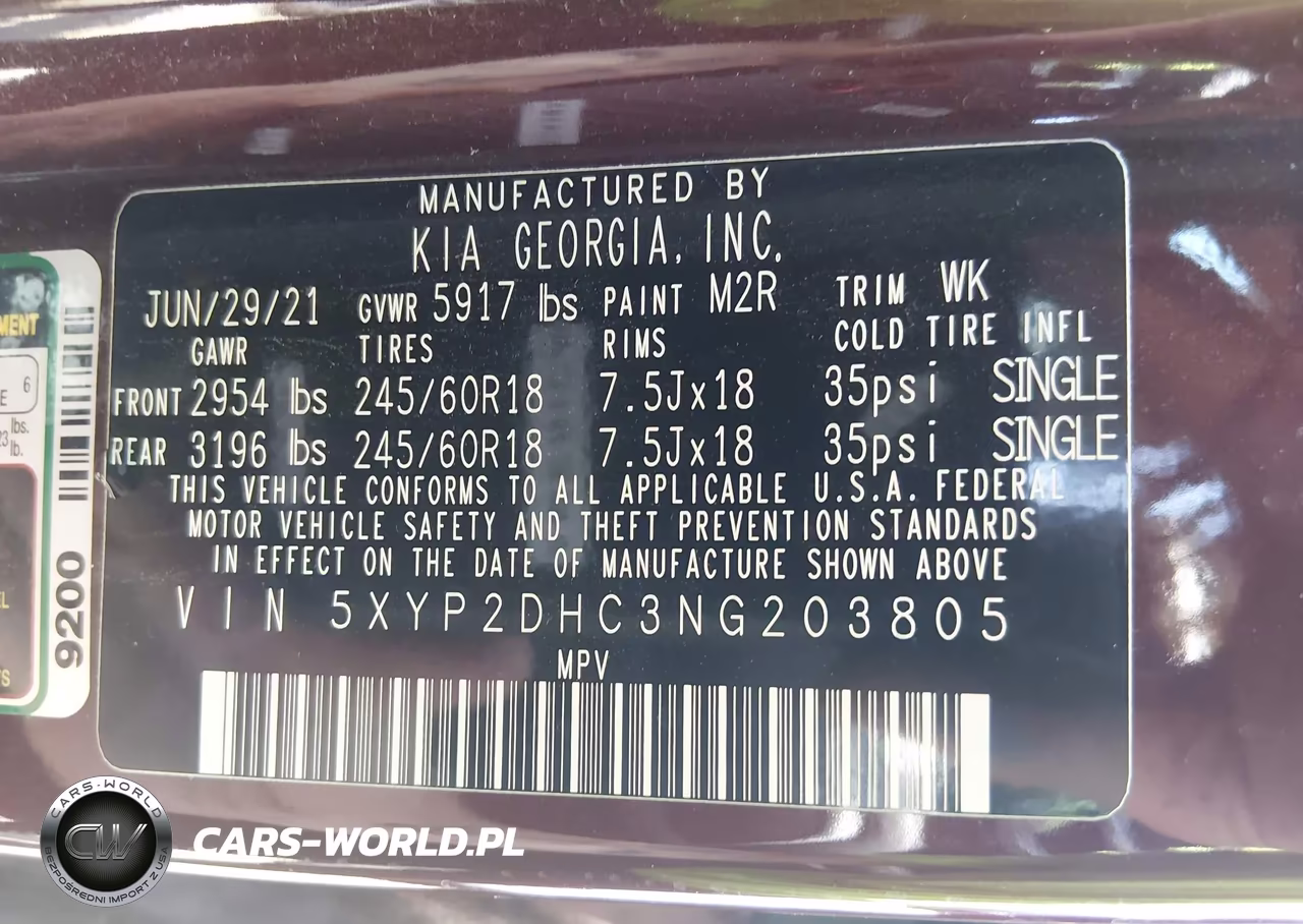 2022 Kia Telluride Lx VIN:5XYP2DHC3NG203805 - 9