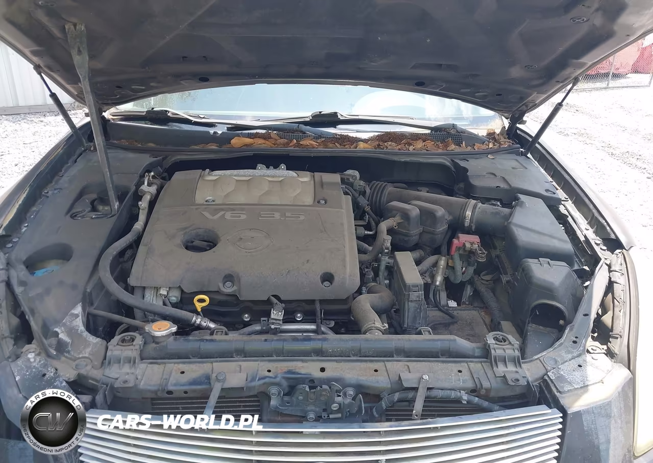 2008 Nissan Maxima 3.5 Se VIN:1N4BA41E98C829530 - 10