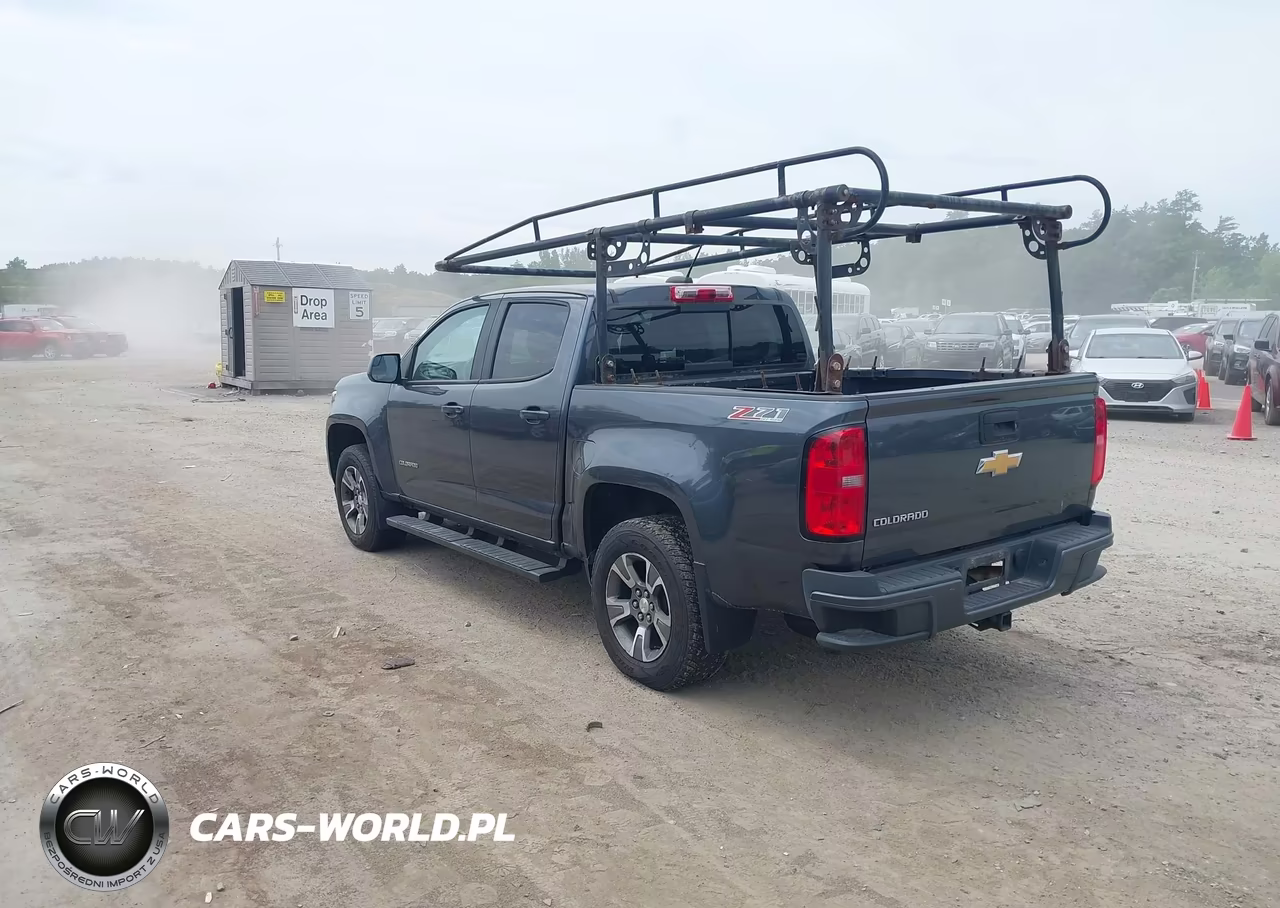2017 Chevrolet Colorado Z71 VIN:1GCGTDEN7H1219822 - 3