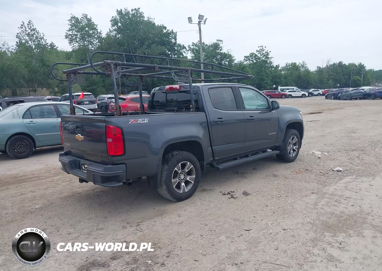 2017 Chevrolet Colorado Z71 VIN:1GCGTDEN7H1219822 - 4