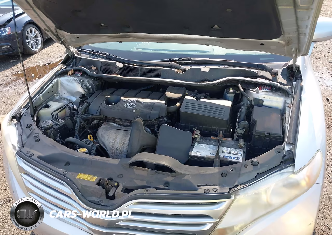 2009 Toyota Venza VIN:4T3ZE11A09U016343 - 10
