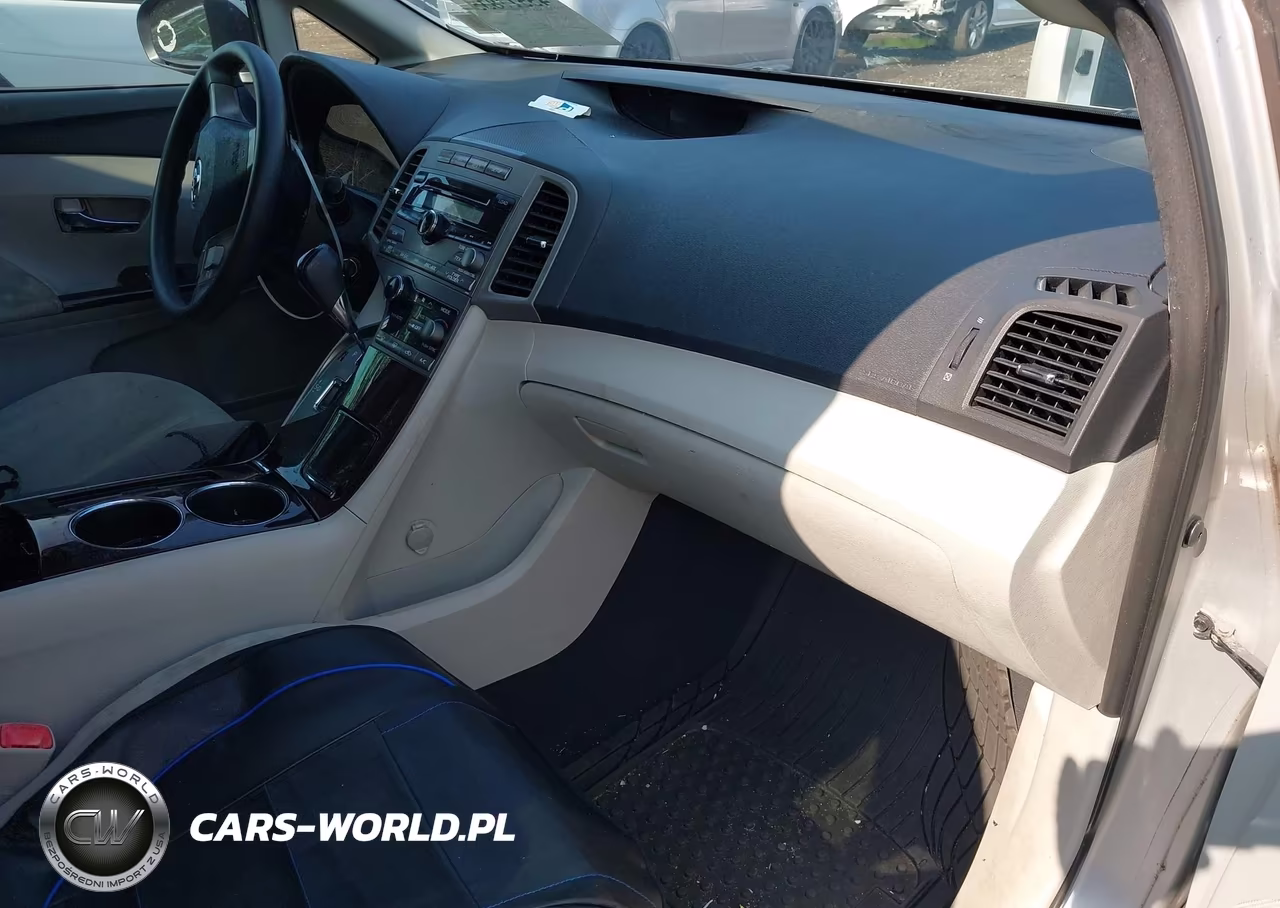 2009 Toyota Venza VIN:4T3ZE11A09U016343 - 5