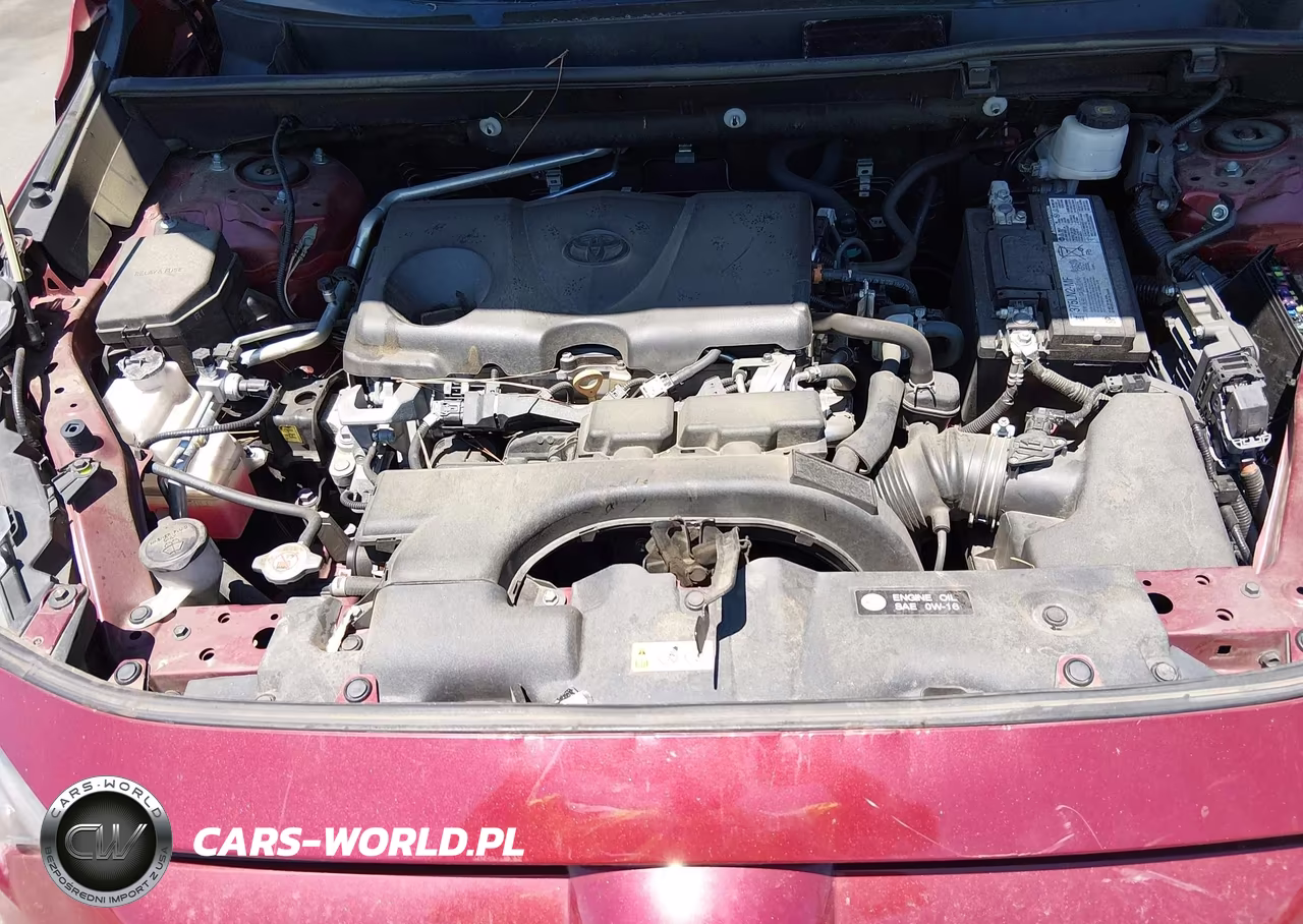 2019 Toyota Rav4 Xle VIN:2T3W1RFV1KW054338 - 10