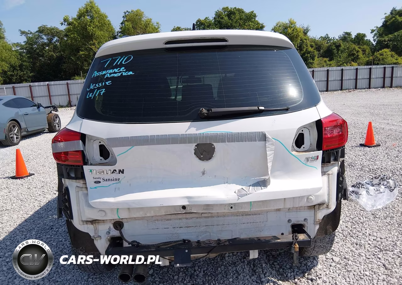 2017 Volkswagen Tiguan 2.0T-2.0T S VIN:WVGBV7AX4HK005048 - 16