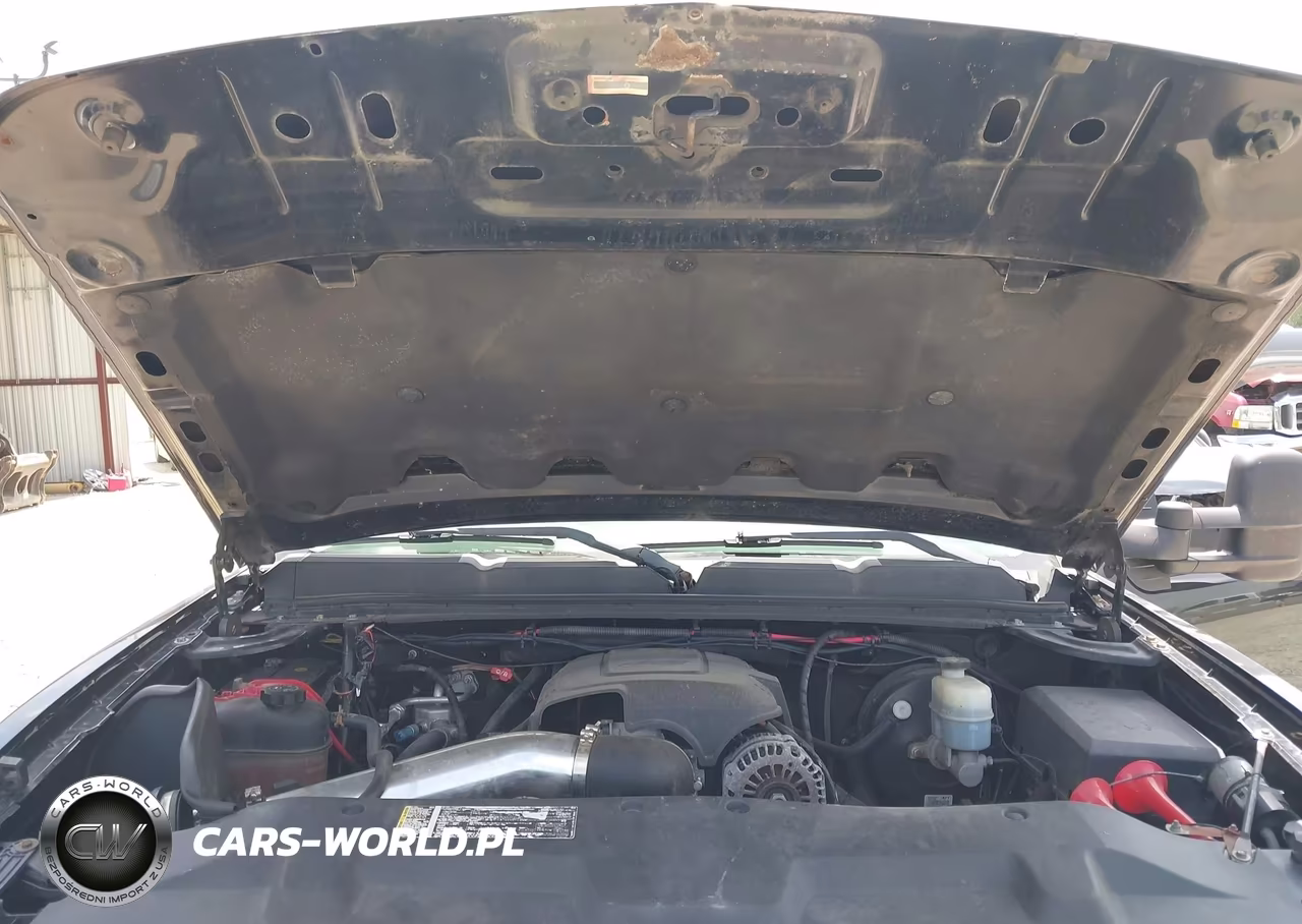 2009 Chevrolet Silverado 1500 Work Truck VIN:1GCEK19J89Z222067 - 10