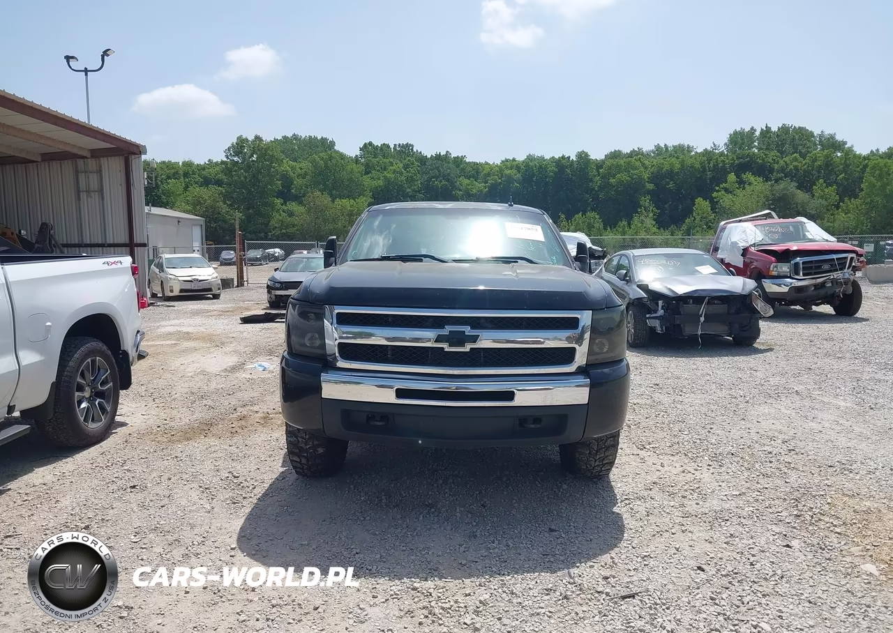 2009 Chevrolet Silverado 1500 Work Truck VIN:1GCEK19J89Z222067 - 13