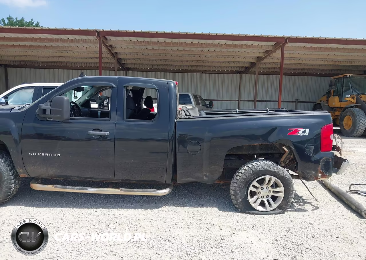 2009 Chevrolet Silverado 1500 Work Truck VIN:1GCEK19J89Z222067 - 18