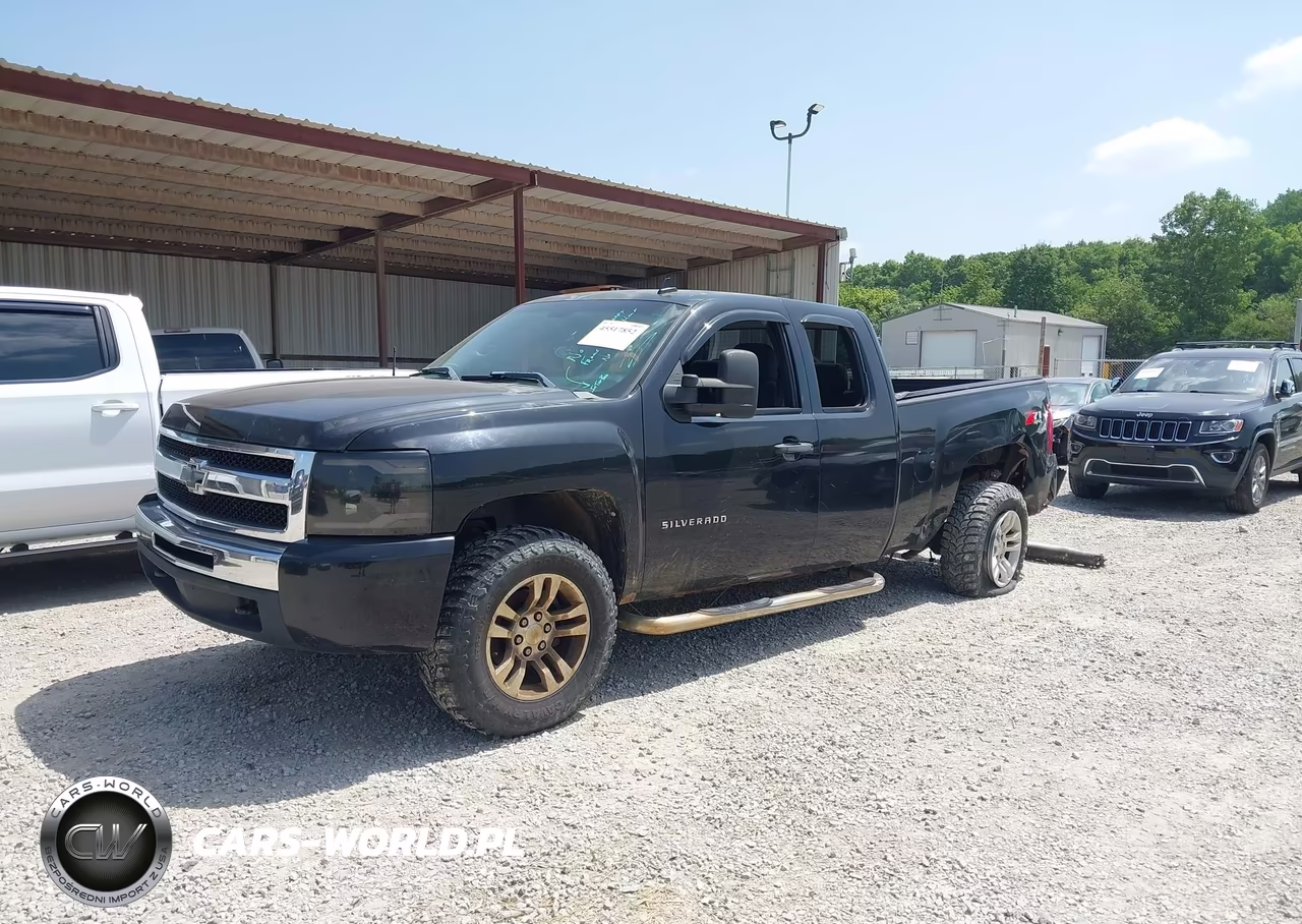2009 Chevrolet Silverado 1500 Work Truck VIN:1GCEK19J89Z222067 - 2