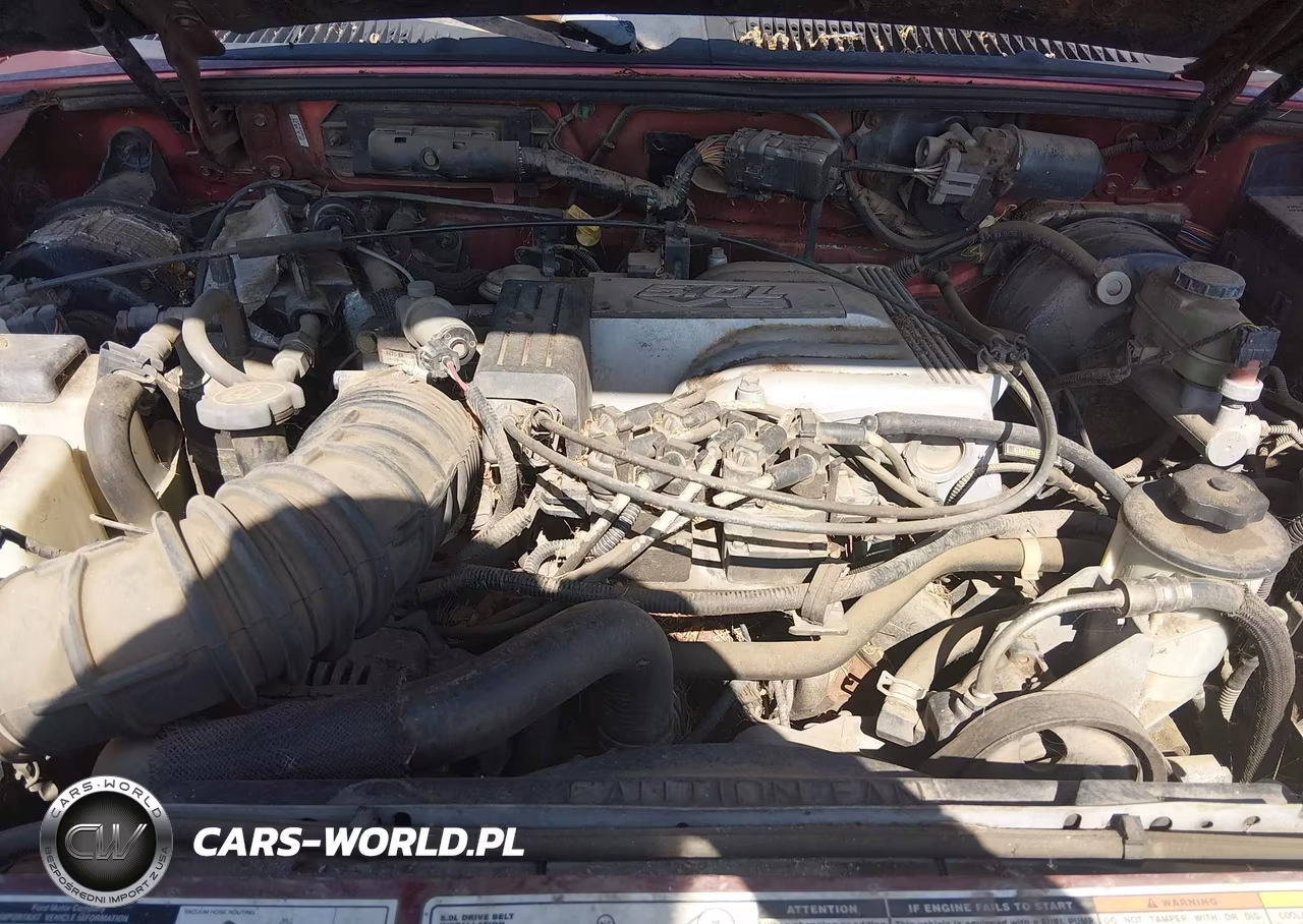 1997 Ford Explorer Eddie Bauer-Limited-Xlt VIN:1FMDU32P1VZA65262 - 10