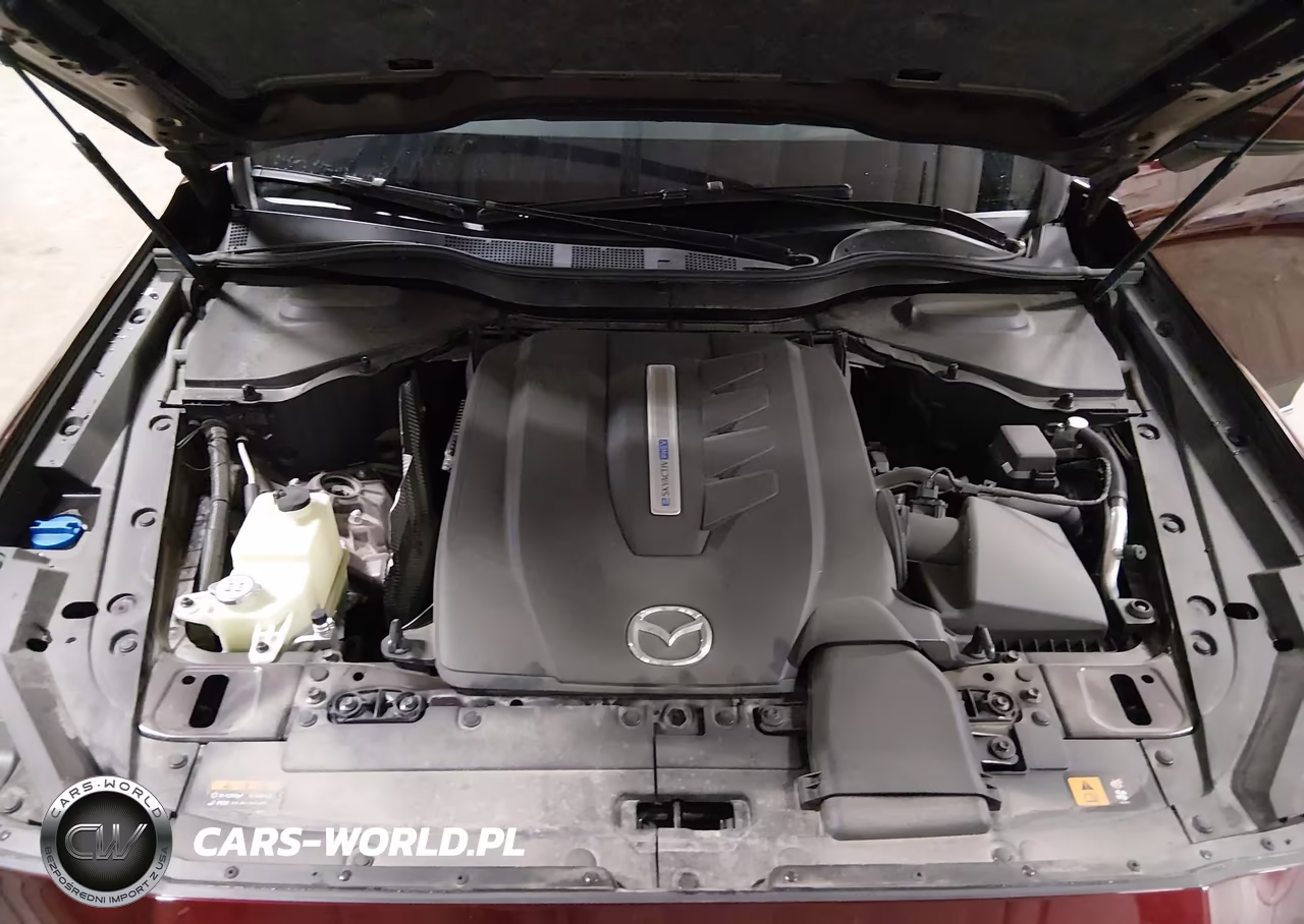 2024 Mazda Cx-90 Phev Premium VIN:JM3KKDHA2R1147264 - 10