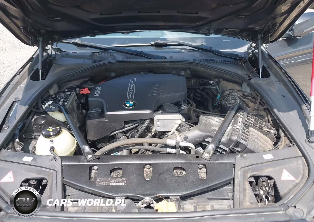 2015 BMW 528I VIN:WBA5A5C51FD518964 - 10