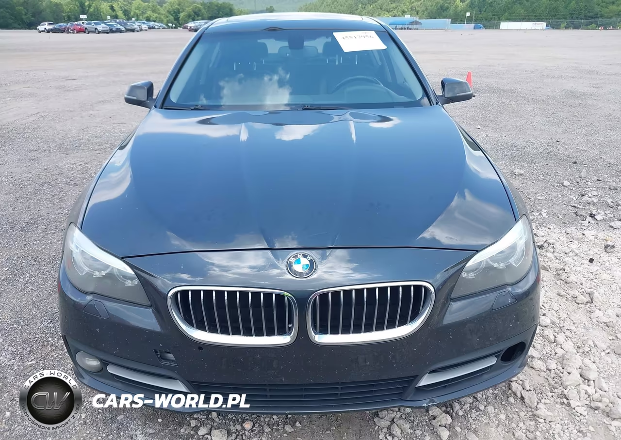 2015 BMW 528I VIN:WBA5A5C51FD518964 - 13